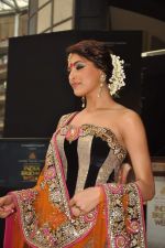 at the launch of Aamby Valley India Bridal Week in Sahara Star on 16th Sept 2011 (91).JPG