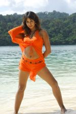 Sanjana Beach Wear Shoot (14).JPG