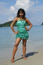 Sanjana Beach Wear Shoot (31).JPG