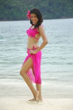 Shraddha Das Beachwear Shoot on  12th June 2011 (26).JPG