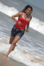 Priyamani In Sexy  Shoot on Beach (103).JPG