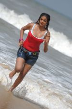 Priyamani In Sexy  Shoot on Beach (104).JPG