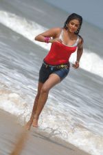 Priyamani In Sexy  Shoot on Beach (107).JPG