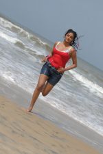 Priyamani In Sexy  Shoot on Beach (117).JPG