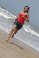 Priyamani In Sexy  Shoot on Beach (121).JPG