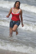 Priyamani In Sexy  Shoot on Beach (75).JPG