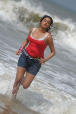 Priyamani In Sexy  Shoot on Beach (97).JPG