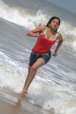 Priyamani In Sexy  Shoot on Beach (98).JPG