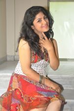 Supriya Casual Shoot at Sasesham Movie Logo Launch on 19th September 2011 (34).jpg