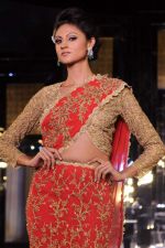 Model walk the ramp for Adarsh Gill Show at Amby Valley India Bridal Week day 2 on 24th Sept 2011 (70).JPG