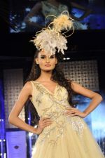 Model walk the ramp for Anjalee and Arjun Kapoor Show at Amby Valley India Bridal Week day 1 on 24th Sept 2011 (8).JPG