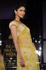 Model walk the ramp for Bhairavi Jaikishen Show at Amby Valley India Bridal Week day 2 on 24th Sept 2011 (49).JPG