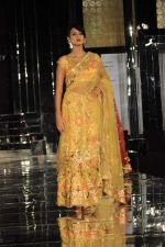 Model walk the ramp for Pallavi Jaikishan Show at Amby Valley India Bridal Week day 3 on 25th Sept 2011 (40).JPG