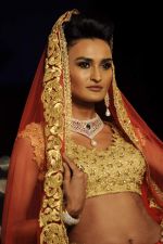 Model walk the ramp for Pallavi Jaikishan Show at Amby Valley India Bridal Week day 3 on 25th Sept 2011 (61).JPG
