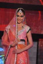 Genelia D Souza at Blenders Pride Fashion Tour 2011 Day 2 on 24th Sept 2011 (193).jpg