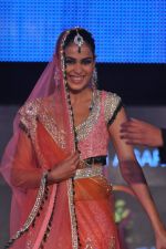 Genelia D Souza at Blenders Pride Fashion Tour 2011 Day 2 on 24th Sept 2011 (199).jpg