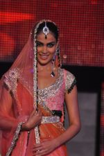 Genelia DSouza walks the ramp at 2011 Blenders Pride Fashion Tour on 24th September 2011 (5).jpg