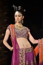 Model walk the ramp for Neeta Lulla Show at Amby Valley India Bridal Week day 4 on 26th Sept 2011 (106).JPG