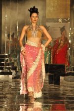 Model walk the ramp for Neeta Lulla Show at Amby Valley India Bridal Week day 4 on 26th Sept 2011 (11).JPG