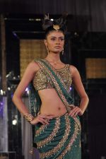 Model walk the ramp for Neeta Lulla Show at Amby Valley India Bridal Week day 4 on 26th Sept 2011 (24).JPG