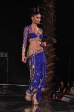 Model walk the ramp for Neeta Lulla Show at Amby Valley India Bridal Week day 4 on 26th Sept 2011 (25).JPG