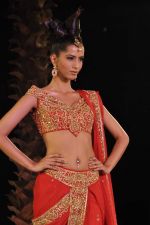 Model walk the ramp for Neeta Lulla Show at Amby Valley India Bridal Week day 4 on 26th Sept 2011 (30).JPG