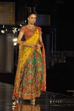 Model walk the ramp for Neeta Lulla Show at Amby Valley India Bridal Week day 4 on 26th Sept 2011 (54).JPG