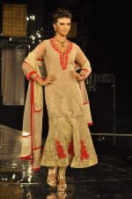 Model walk the ramp for Shane Falguni Show at Amby Valley India Bridal Week day 4 on 26th Sept 2011 (25).JPG