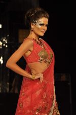 Model walk the ramp for Shane Falguni Show at Amby Valley India Bridal Week day 4 on 26th Sept 2011 (44).JPG