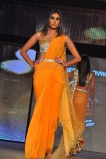 at Blenders Pride Fashion Tour 2011 Day 2 on 24th Sept 2011 (148).jpg