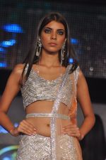 at Blenders Pride Fashion Tour 2011 Day 2 on 24th Sept 2011 (155).jpg