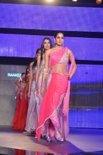 at Blenders Pride Fashion Tour 2011 Day 2 on 24th Sept 2011 (176).jpg