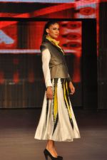 at Blenders Pride Fashion Tour 2011 Day 2 on 24th Sept 2011 (241).jpg