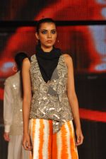 at Blenders Pride Fashion Tour 2011 Day 2 on 24th Sept 2011 (244).jpg