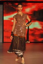 at Blenders Pride Fashion Tour 2011 Day 2 on 24th Sept 2011 (248).jpg