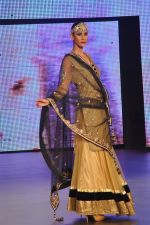 at Blenders Pride Fashion Tour 2011 Day 2 on 24th Sept 2011 (279).jpg