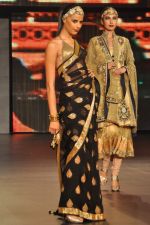 at Blenders Pride Fashion Tour 2011 Day 2 on 24th Sept 2011 (285).jpg