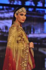 at Blenders Pride Fashion Tour 2011 Day 2 on 24th Sept 2011 (299).jpg