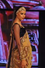 at Blenders Pride Fashion Tour 2011 Day 2 on 24th Sept 2011 (310).jpg