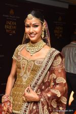 Nethra Raghuraman at the post party of Aamby Valley bridal Week day 5 on 27th Sept 2011 (115).JPG