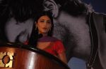 Shruti Haasan attends 7aum Arivu Press Meet on 26th September 2011 (12).jpg