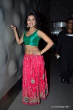 pallavi sharda at The Bartender album launch by Sony Music in Blue Frog on 27th Sept 2011 (2).JPG