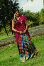 Priyamani in Half Saree Shoot (2).jpg