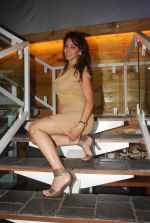 Shilpi Sharma at Be Careful music launch in Sheesha Lounge on 28th Sept 2011 (83).JPG