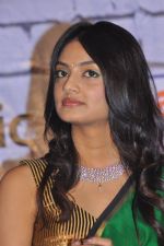 Nikitha Narayan attends It_s My Love Story Audio Launch on 28th September 2011 (30).JPG