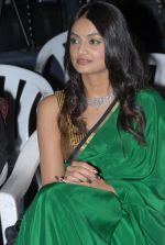 Nikitha Narayan attends It_s My Love Story Audio Launch on 28th September 2011 (29).JPG