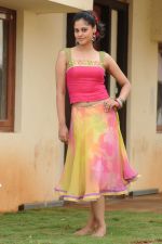 Bindu Madhavi in Pilla Zamindar Movie Stills (16).jpg