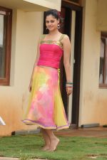 Bindu Madhavi in Pilla Zamindar Movie Stills (9).jpg