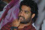 Junior NTR_s casual shoot at the Oosaravelli Movie Press Meet on October 4th 2011 (3).jpg
