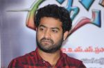 Junior NTR_s casual shoot at the Oosaravelli Movie Press Meet on October 4th 2011 (5).jpg